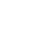 原生资产支持